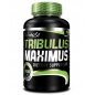  BioTech Tribulus Maximus 90 